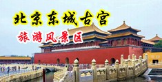 骚逼操av中国北京-东城古宫旅游风景区