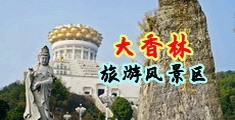WWW插插插无码免费视频中国浙江-绍兴大香林旅游风景区